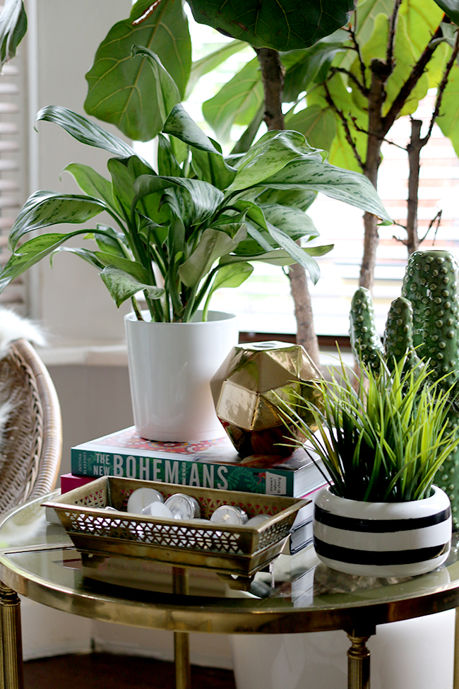 How To Style Your Home With Plants Swoon Worthy